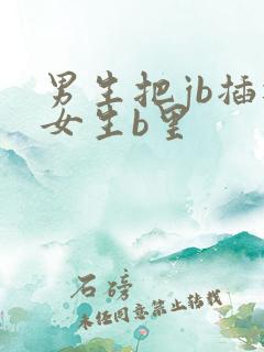男生把jb插进女生b里
