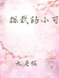 总裁的小可爱