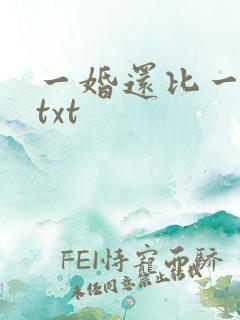 一婚还比一婚高txt