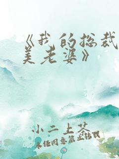《我的总裁白富美老婆》