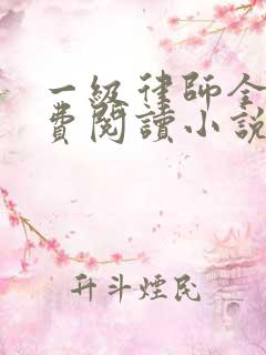 一级律师全文免费阅读小说