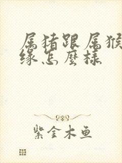 属猪跟属猴的姻缘怎么样