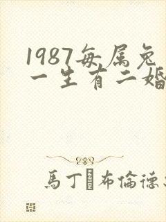 1987每属兔一生有二婚