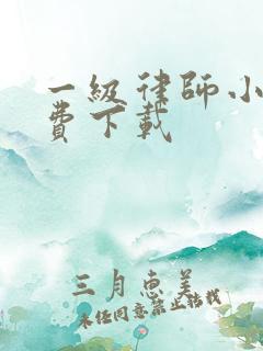 一级律师小说免费下载