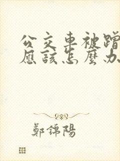 公交车被蹭了我应该怎么办