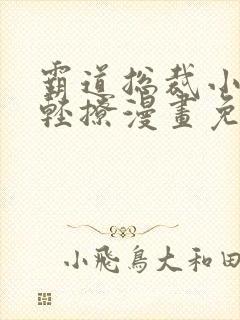霸道总裁小叔请轻撩漫画免费下拉式六漫画