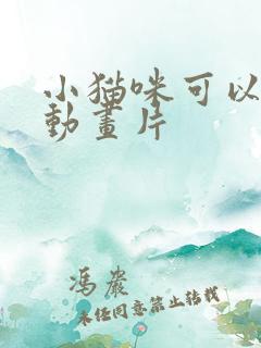 小猫咪可以看的动画片