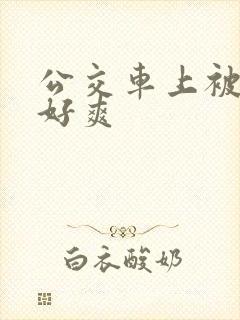 公交车上被插的好爽
