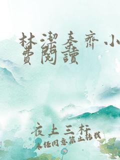 林洁秦齐小说免费阅读
