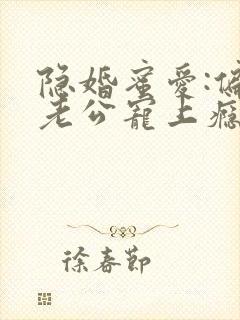 隐婚蜜爱:偏执老公宠上瘾小说完整版