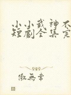 小小武神不好惹短剧全集完整版