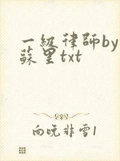 一级律师by木苏里txt
