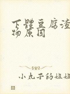 下体豆腐渣分泌物原因