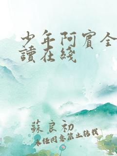 少年阿宾全文阅读在线