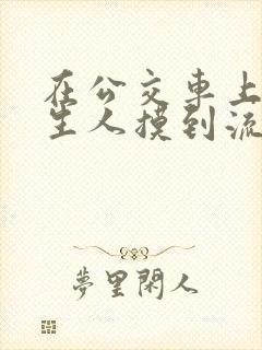 在公交车上被陌生人摸到流水的故事
