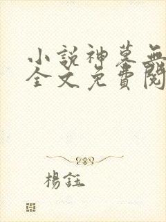 小说神墓无弹窗全文免费阅读