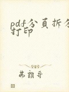 pdf分页拆分打印