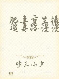 肥妻重生摄政王追妻路漫漫小说免费阅读