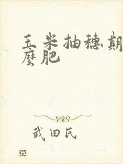 玉米抽穗期施什么肥