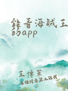 能看海贼王动漫的app