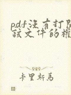 pdf没有打开该文件的权限怎么办