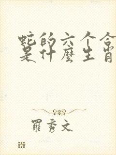蛇的六个合生肖是什么生肖