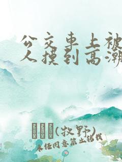 公交车上被陌生人摸到高潮