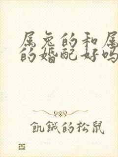 属兔的和属大龙的婚配好吗