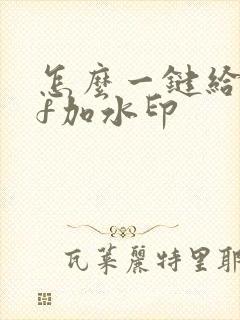 怎么一键给pdf加水印