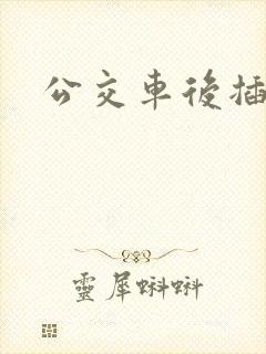 公交车后插入