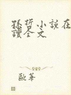 孙哲小说在线阅读全文
