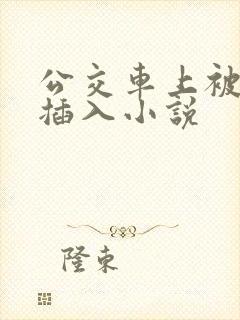 公交车上被强行插入小说