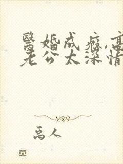 医婚成瘾,高冷老公太深情