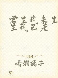 君生我未生,君生我已老