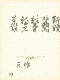 叶轻离裴靳墨小说免费阅读无弹窗