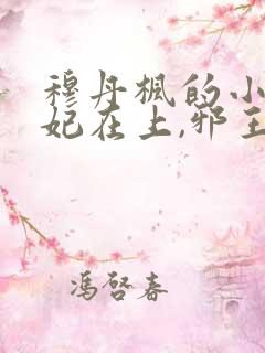 穆丹枫的小说毒妃在上,邪王在下