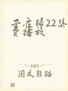 子夜归22集免费播放