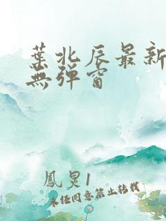 叶北辰最新章节无弹窗