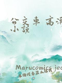 公交车 高潮 小说