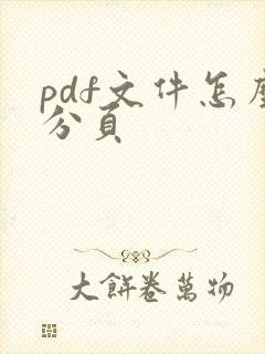 pdf文件怎么分页