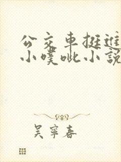 公交车挺进她的小噗呲小说
