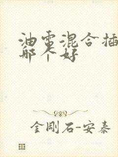 油电混合插电混哪个好
