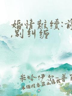 婚情难续:前夫,别纠缠