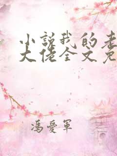 小说我的老公是大佬全文免费阅读