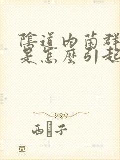 阴道内菌群失调是怎么引起的