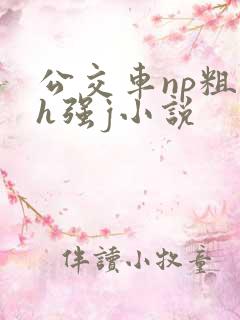 公交车np粗暴h强j小说