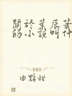 关于叶辰萧初然的小说叫什么