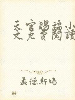 天官赐福小说全文免费阅读无删减版下载