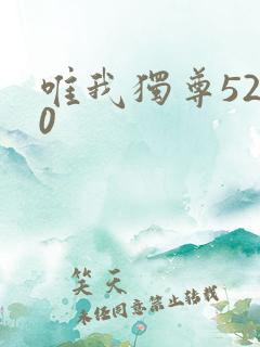 唯我独尊5200