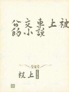 公交车上被高潮的小说